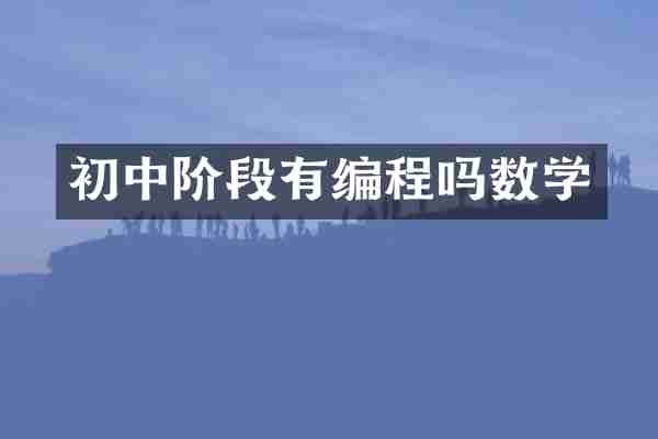 初中阶段有编程吗数学