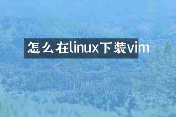 怎么在linux下装vim