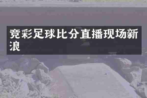 竞彩足球比分直播现场新浪