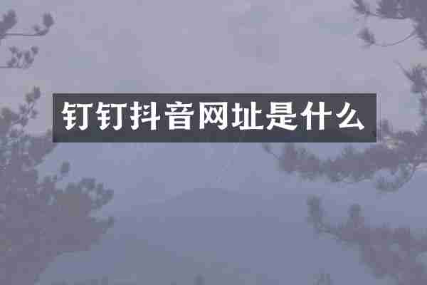 钉钉抖音网址是什么
