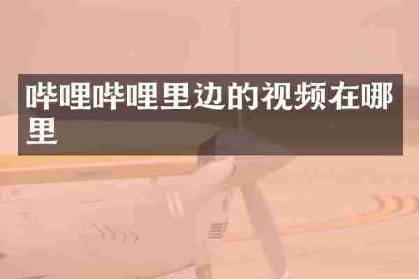 哔哩哔哩里边的视频在哪里
