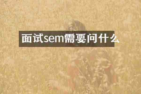 面试sem需要问什么