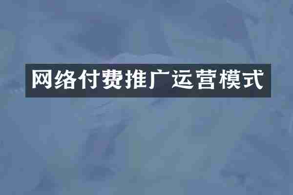 网络付费推广运营模式