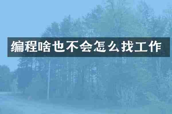 编程啥也不会怎么找工作