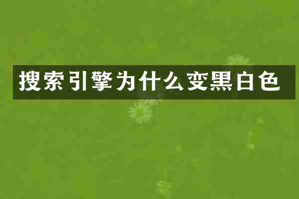 搜索引擎为什么变黑白色