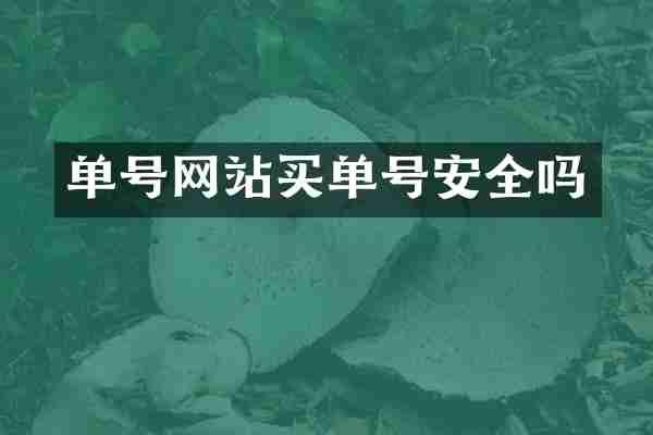 单号网站买单号安全吗