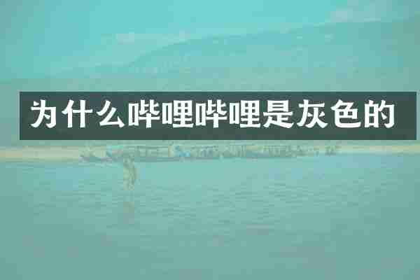 为什么哔哩哔哩是灰色的