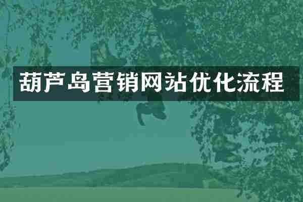 葫芦岛营销网站优化流程