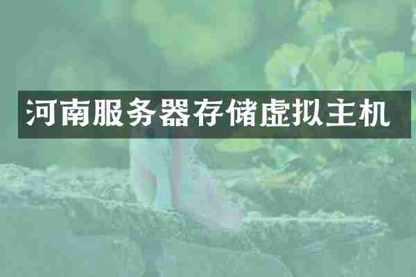 河南服务器存储虚拟主机