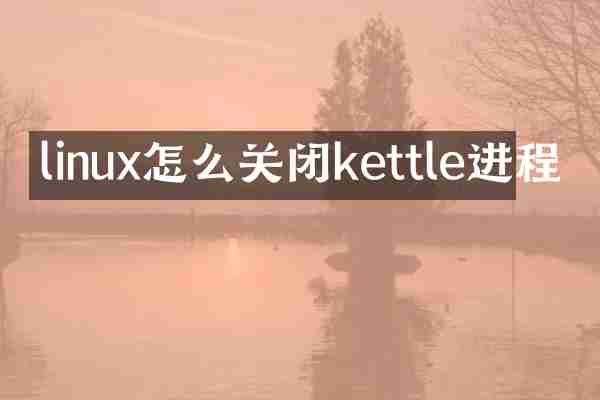 linux怎么关闭kettle进程