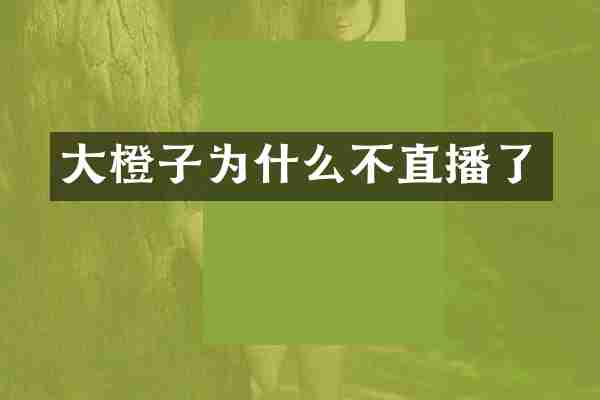大橙子为什么不直播了