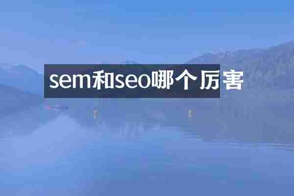 sem和seo哪个厉害