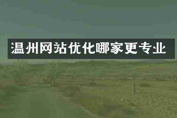 温州网站优化哪家更专业