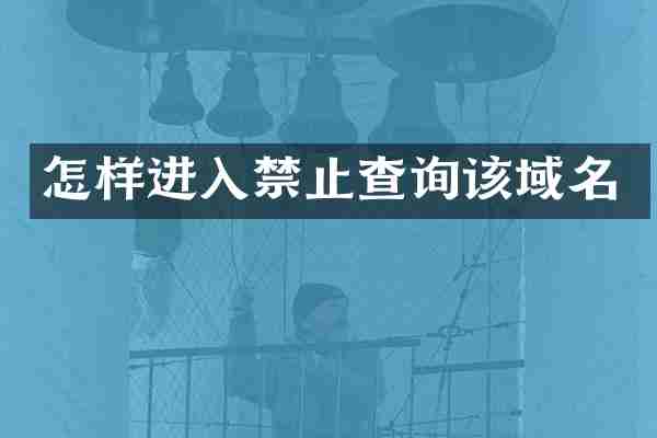 怎样进入禁止查询该域名