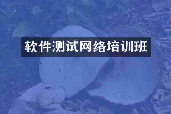 软件测试网络培训班