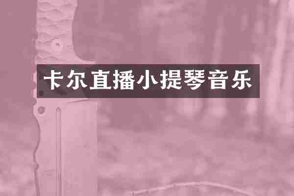 卡尔直播小提琴音乐