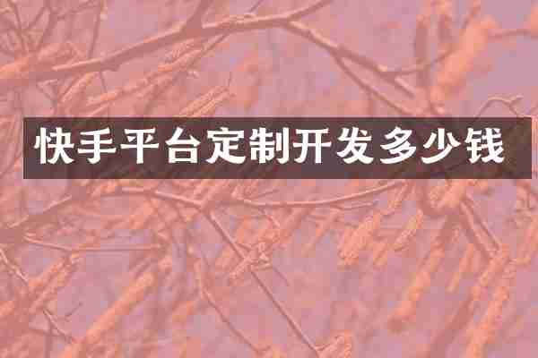 快手平台定制开发多少钱