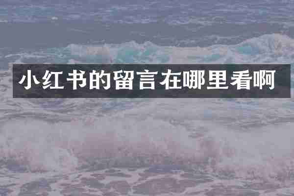 小红书的留言在哪里看啊