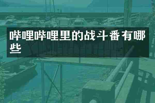 哔哩哔哩里的战斗番有哪些