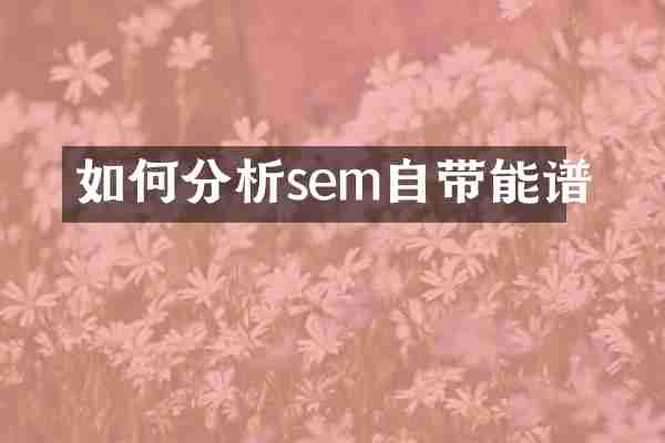 如何分析sem自带能谱