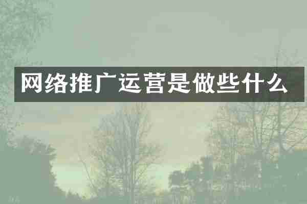 网络推广运营是做些什么