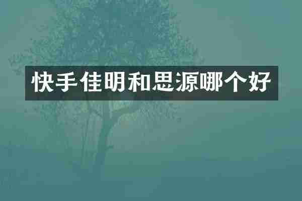 快手佳明和思源哪个好
