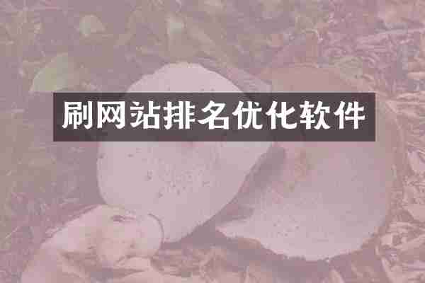 刷网站排名优化软件