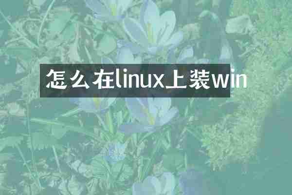 怎么在linux上装win