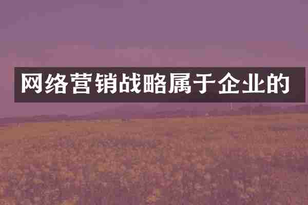 网络营销战略属于企业的