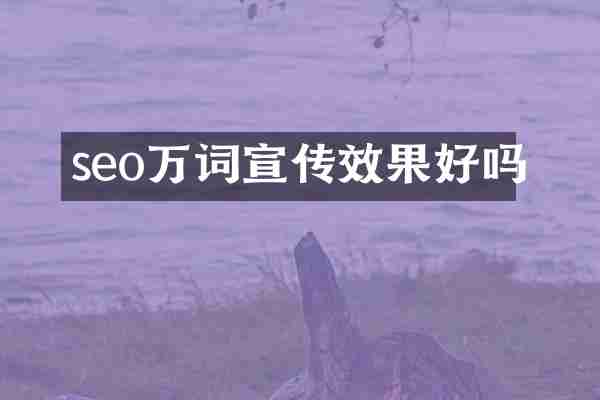 seo万词宣传效果好吗