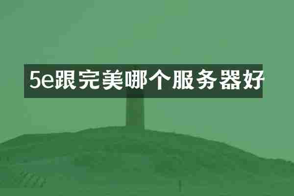 5e跟完美哪个服务器好