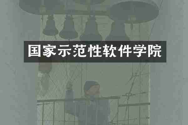 国家示范性软件学院