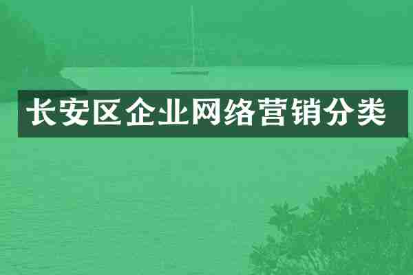 长安区企业网络营销分类