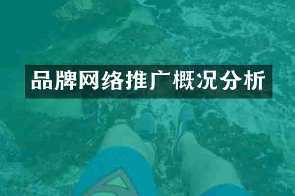 品牌网络推广概况分析