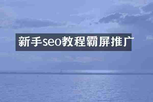 新手seo教程霸屏推广
