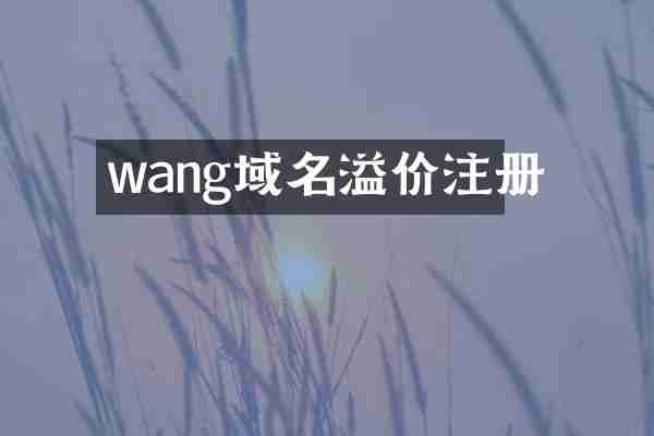 wang域名溢价注册