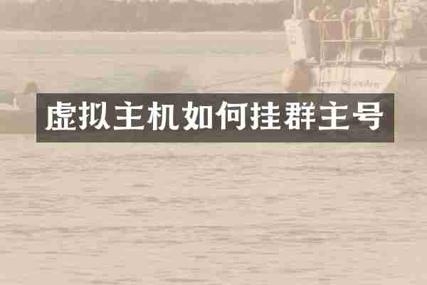 虚拟主机如何挂群主号