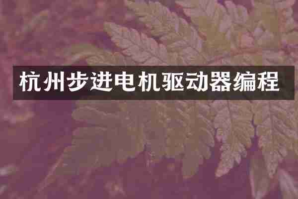 杭州步进电机驱动器编程