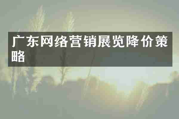 广东网络营销展览降价策略