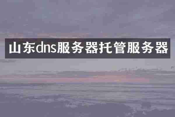 山东dns服务器托管服务器