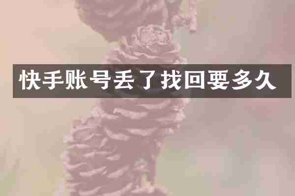 快手账号丢了找回要多久