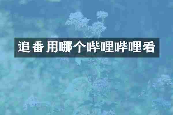 追番用哪个哔哩哔哩看