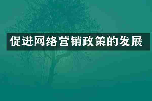促进网络营销政策的发展