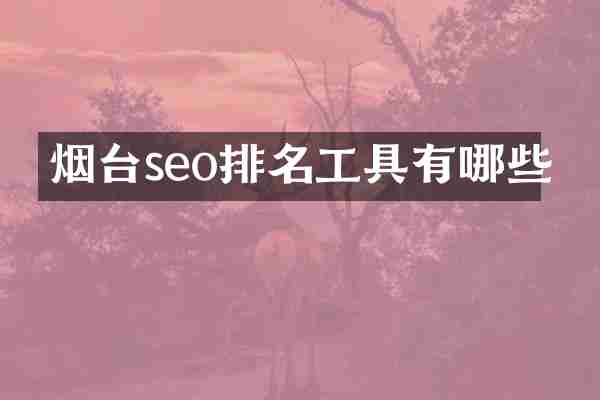 烟台seo排名工具有哪些