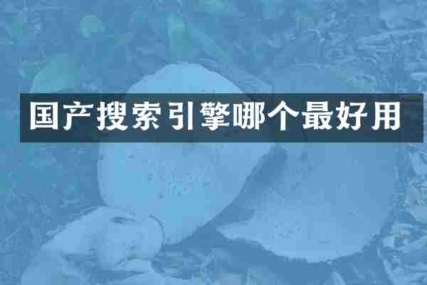 国产搜索引擎哪个最好用