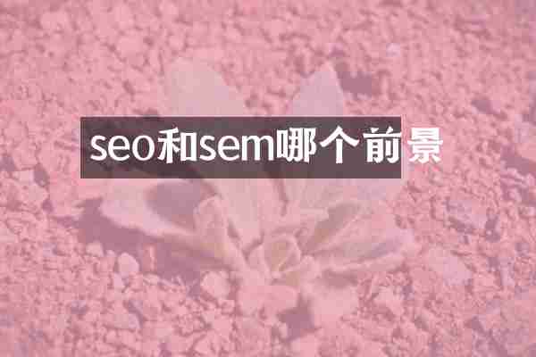 seo和sem哪个前景