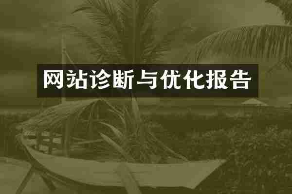网站诊断与优化报告