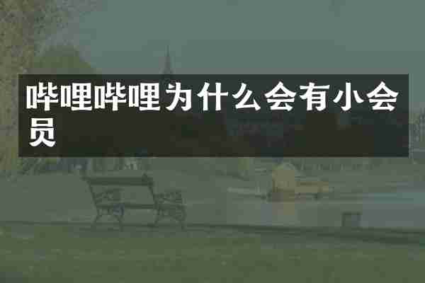 哔哩哔哩为什么会有小会员