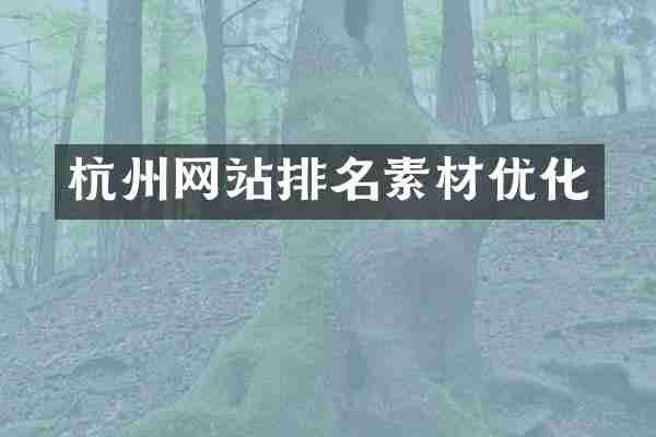 杭州网站排名素材优化