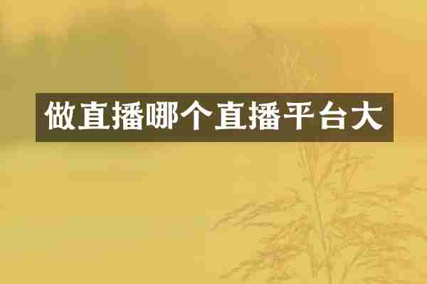 做直播哪个直播平台大